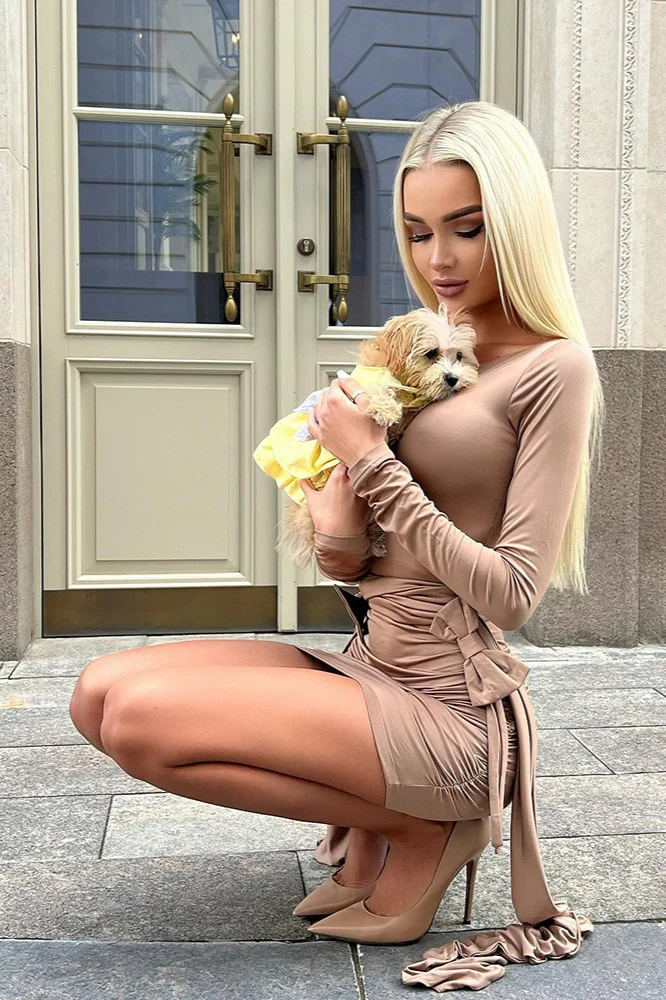 Crew Neck Long Sleeve Bow Tie Ruched Mini Dress - Image 16
