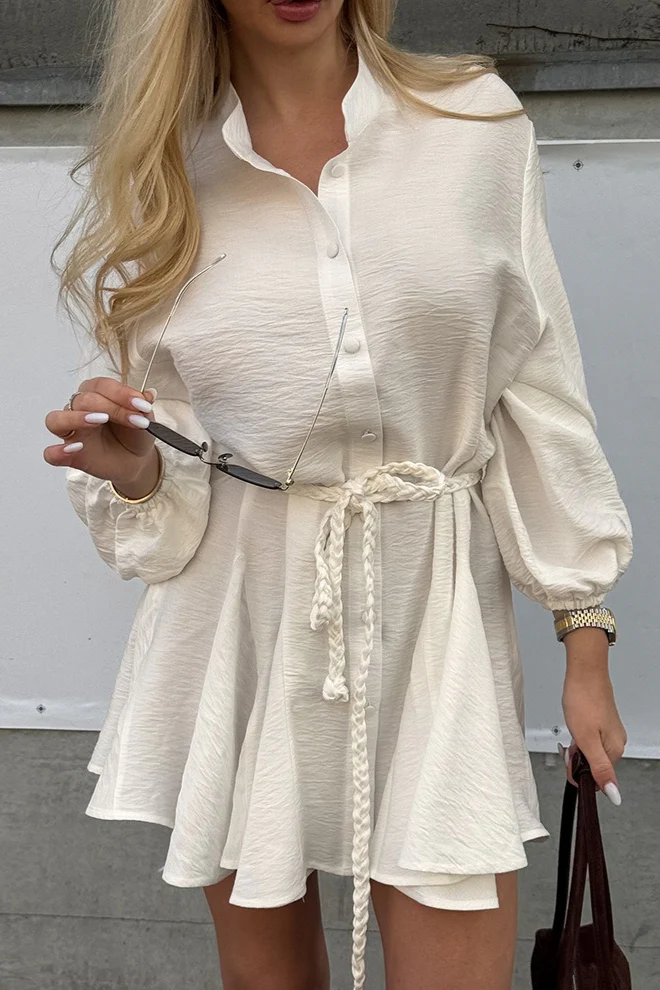 Elegant Tie-Waist Chic Mini Dress