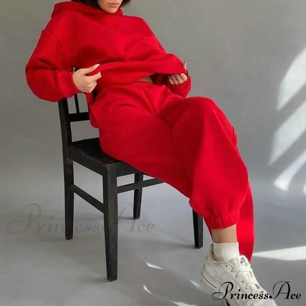Elegant with Long Sweatshirt Women's Set and Hoodie Lace-Up Warm Pant Solid Detail - Image 27