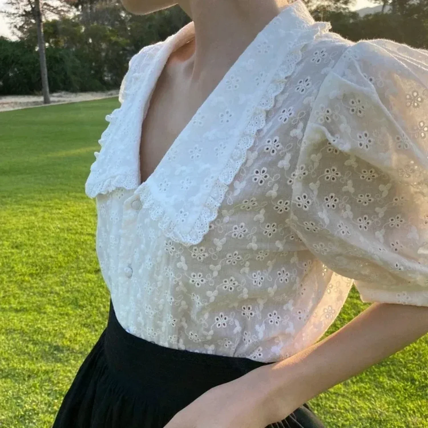 Hollow Lace Puff Sleeve Peter Pan Collar Blouse - Image 2