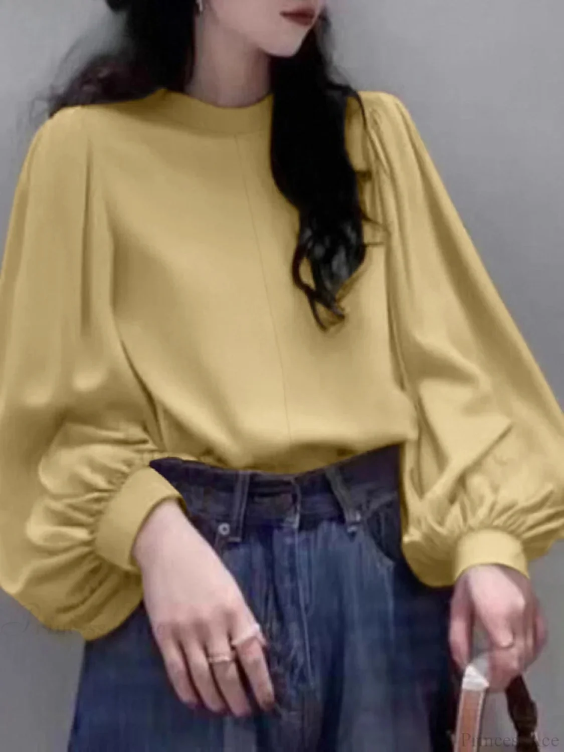 Mesh Lantern Sleeve Blouse Spring Tunic Blouse - Image 2
