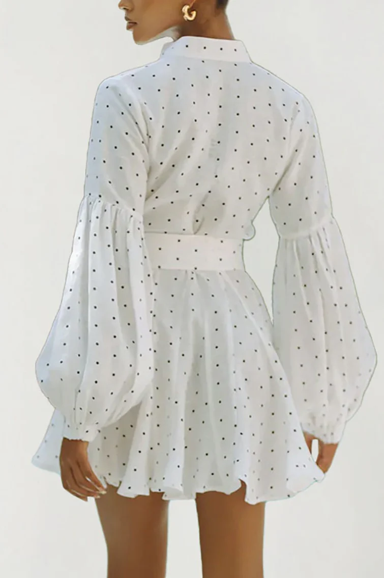 Polka Dot Lantern Sleeve Tie Mini Dress - Image 3