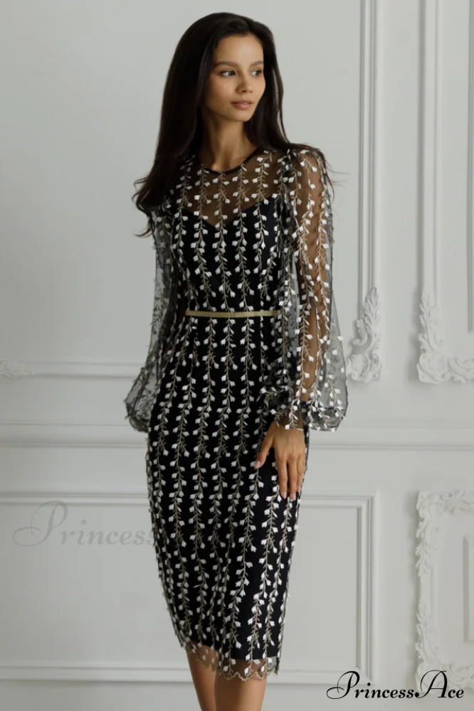Embroidered Sheer Fitted Dress - Image 6
