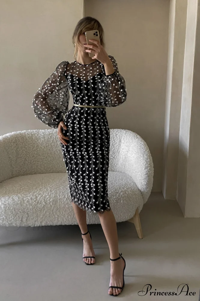 Embroidered Sheer Fitted Dress - Image 7