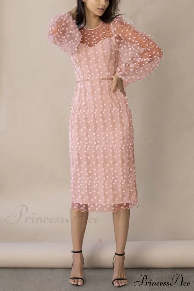 Embroidered Sheer Fitted Dress - Image 8