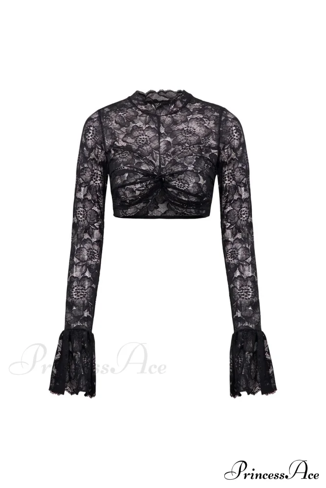 Long Sleeve Lace Charming Mesh Crop Top - Image 7