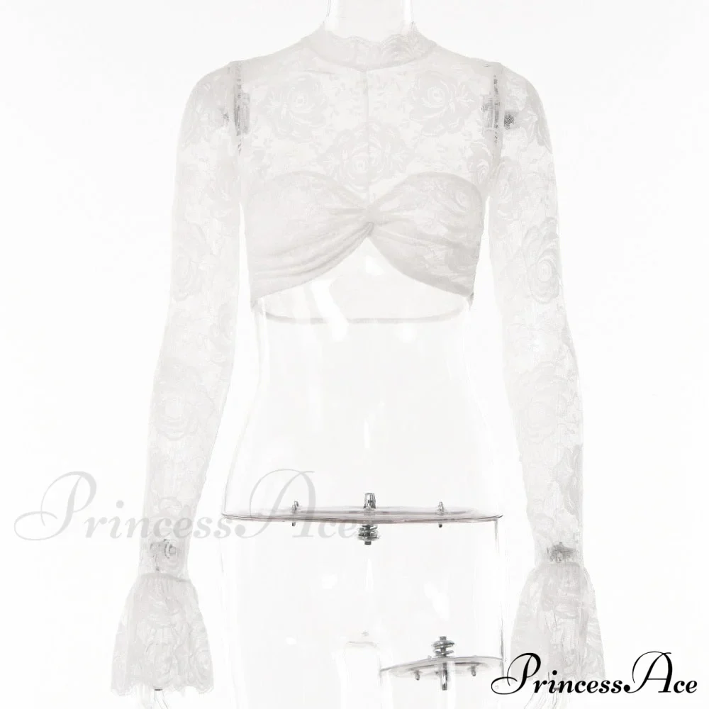 Long Sleeve Lace Charming Mesh Crop Top - Image 9